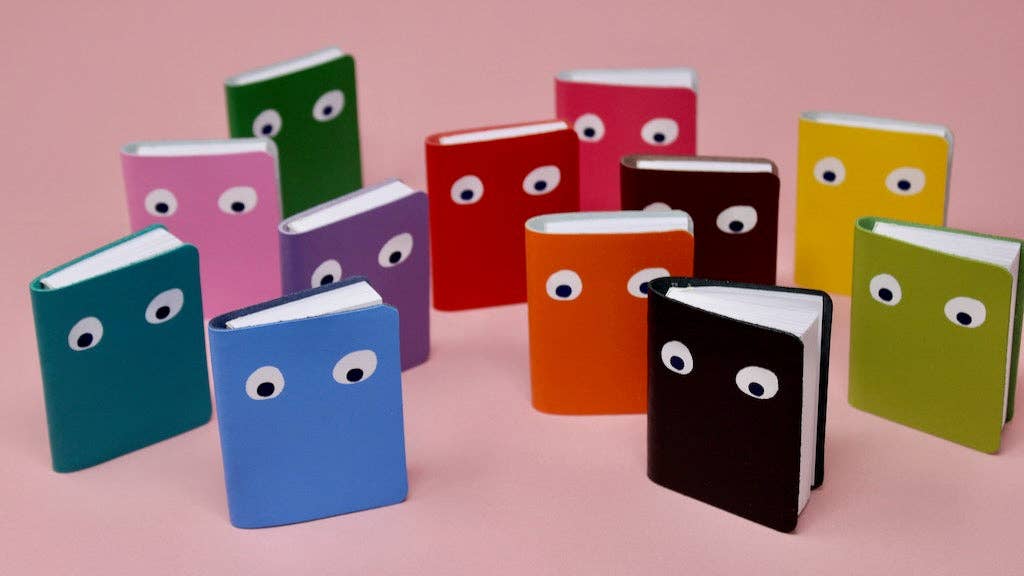Googly Eye Mini Journal (Asstd.)