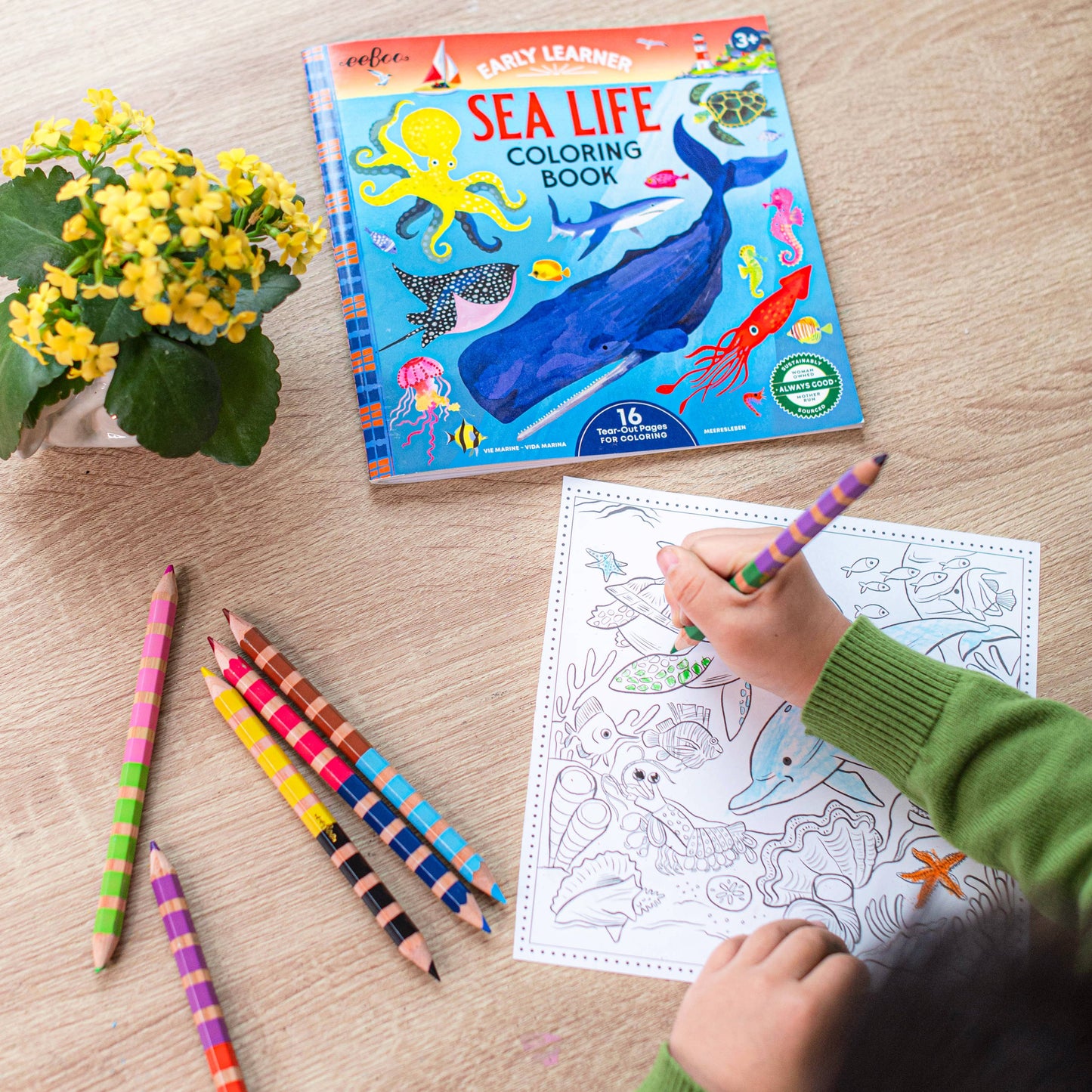 Sea Life Square Coloring Book
