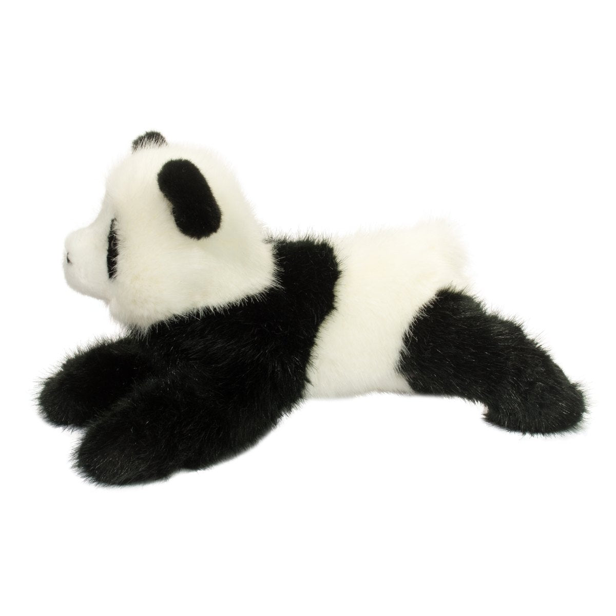 Wasabi the Panda