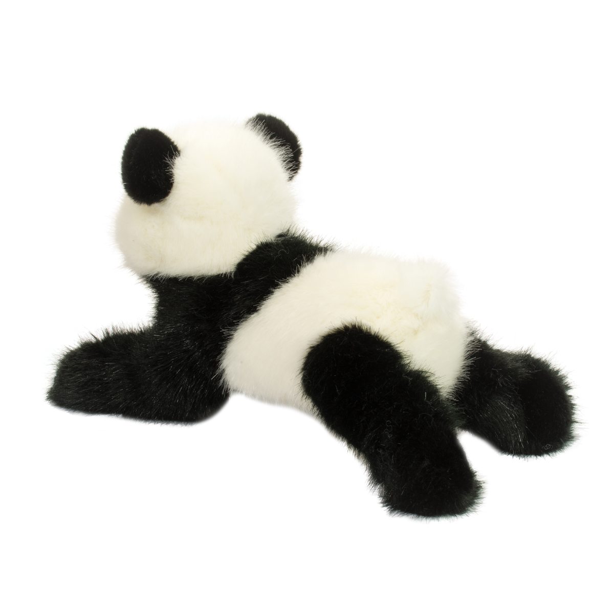 Wasabi the Panda