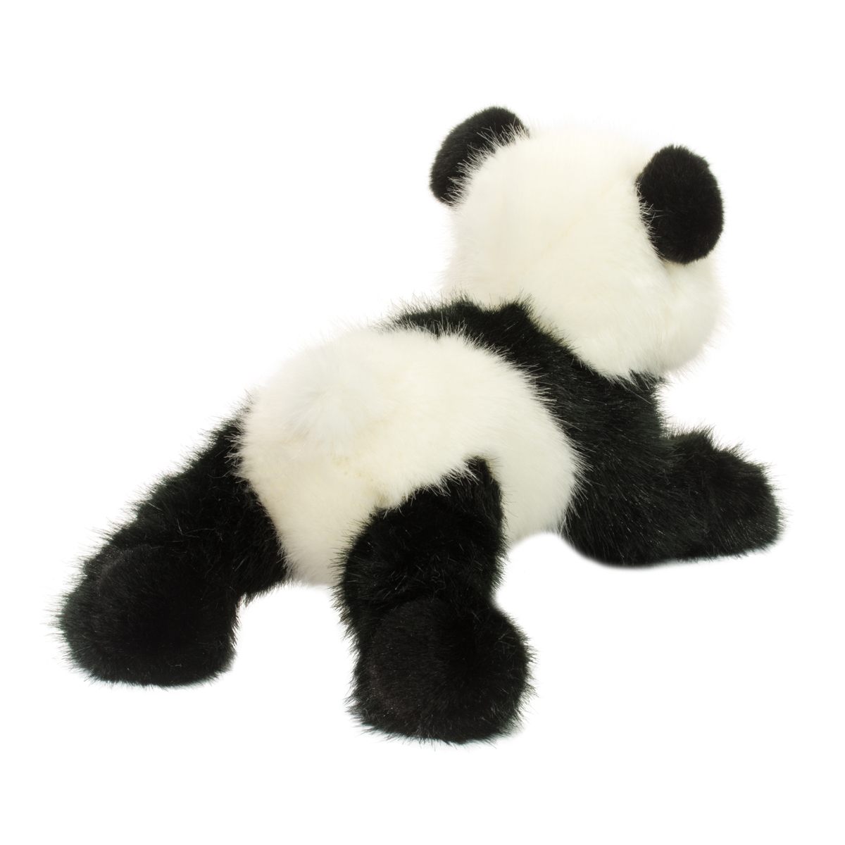 Wasabi the Panda