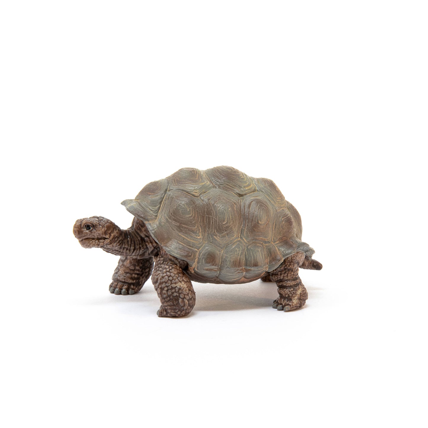Schleich Giant Tortoise