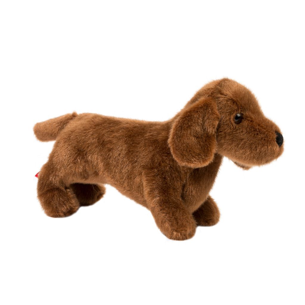 Dilly Dachshund