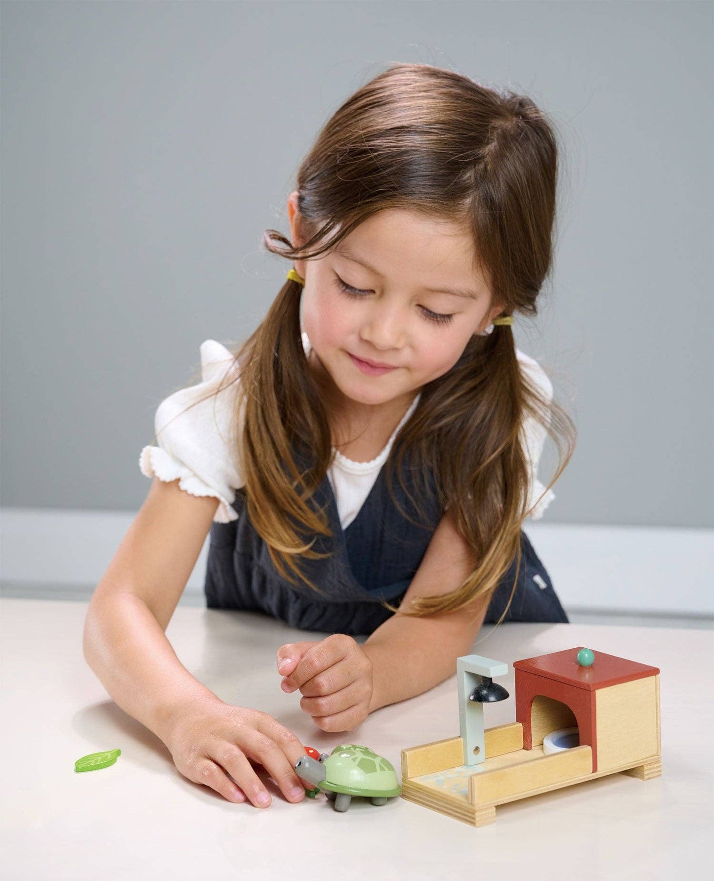 Tortoise Pet Set by Tender Leaf Toys