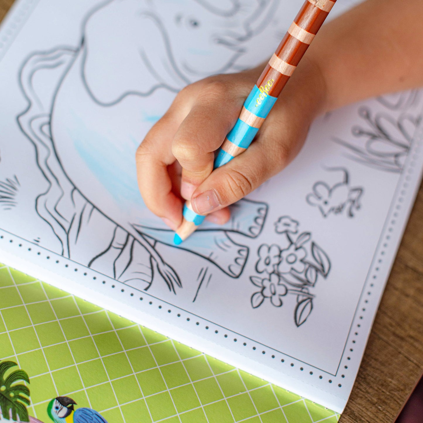 Wild Animals Square Coloring Book