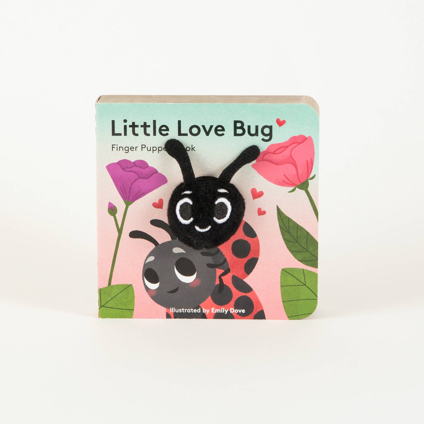 Little Love Bug Book