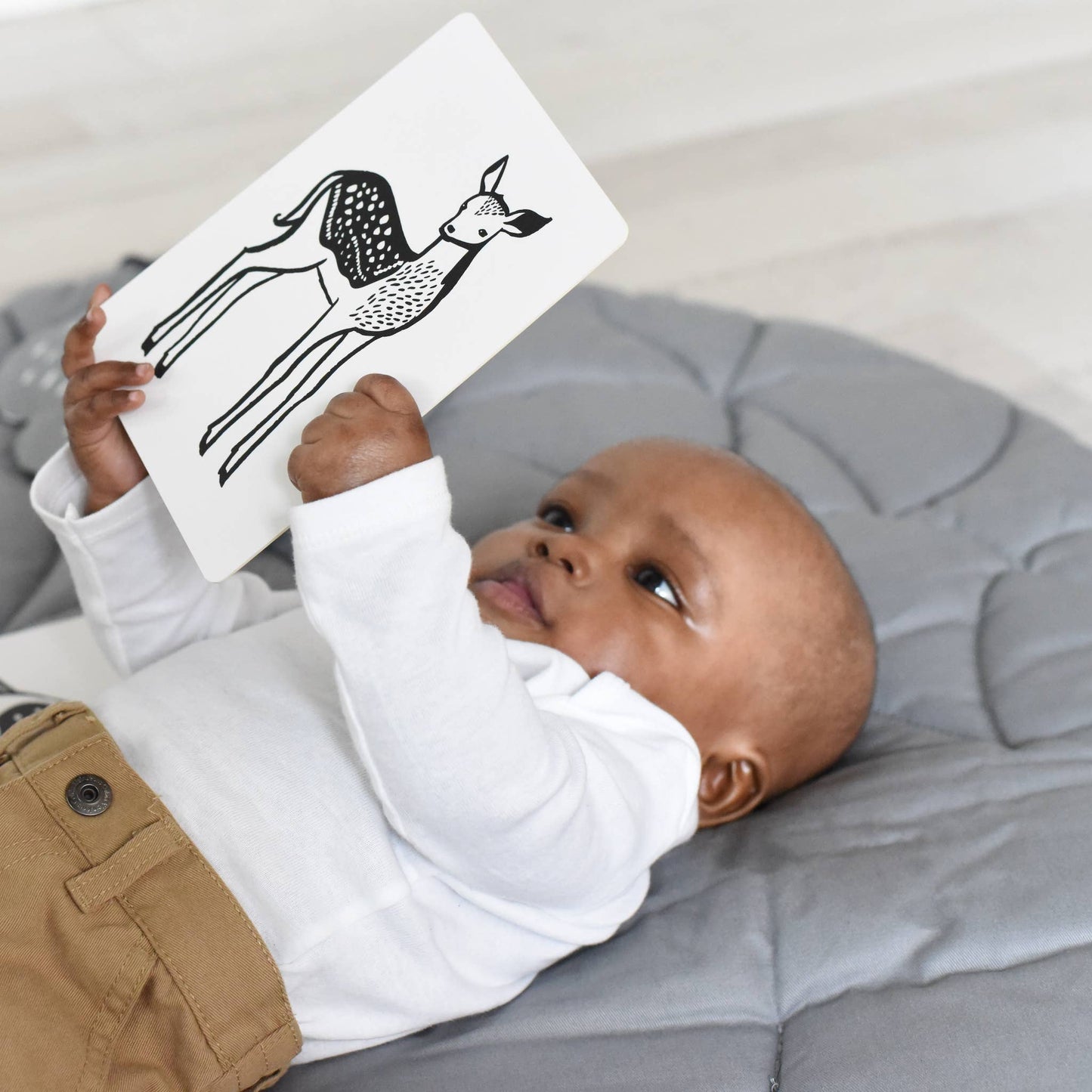 Art Cards for Baby, Baby Animals