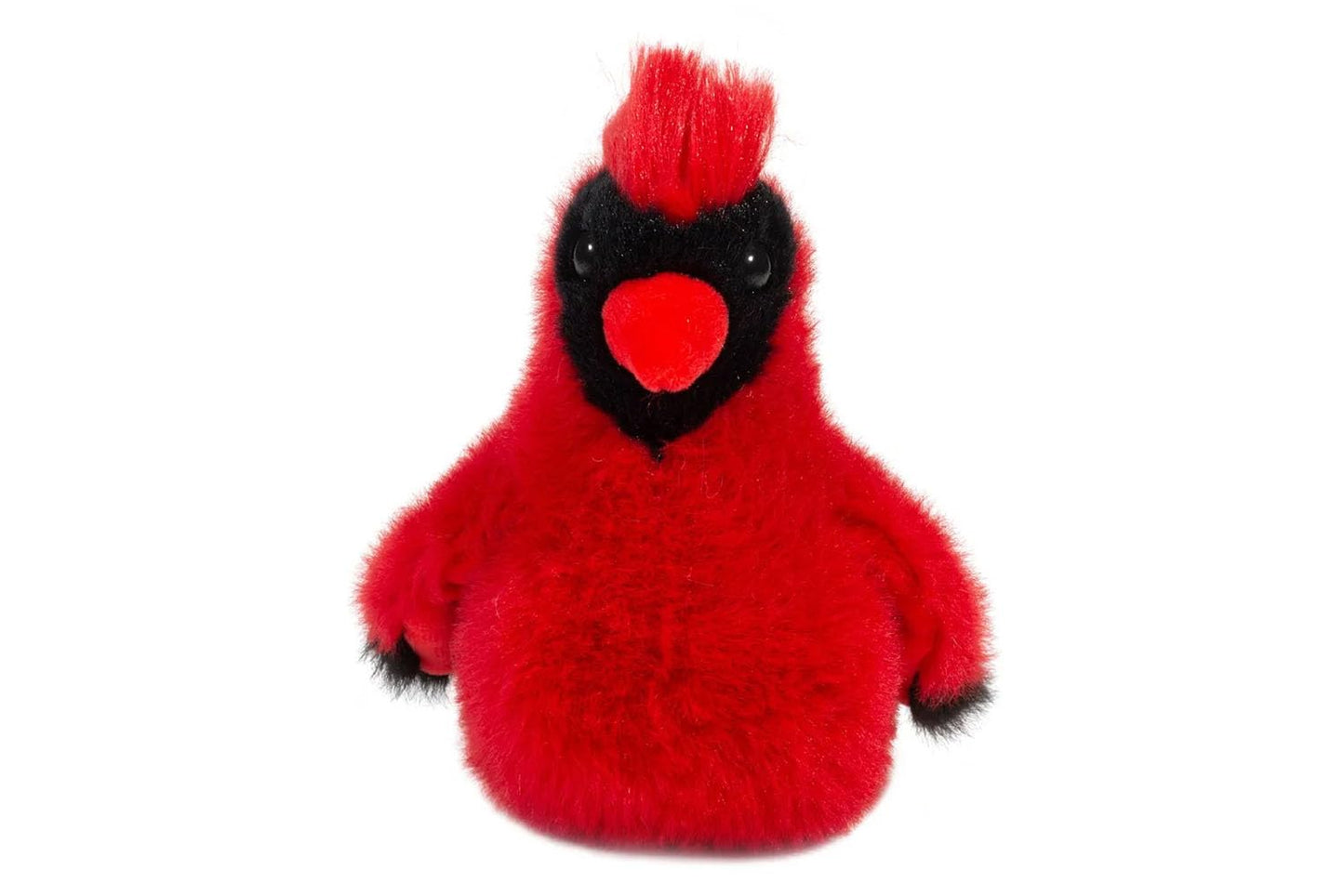 Carmine Cardinal
