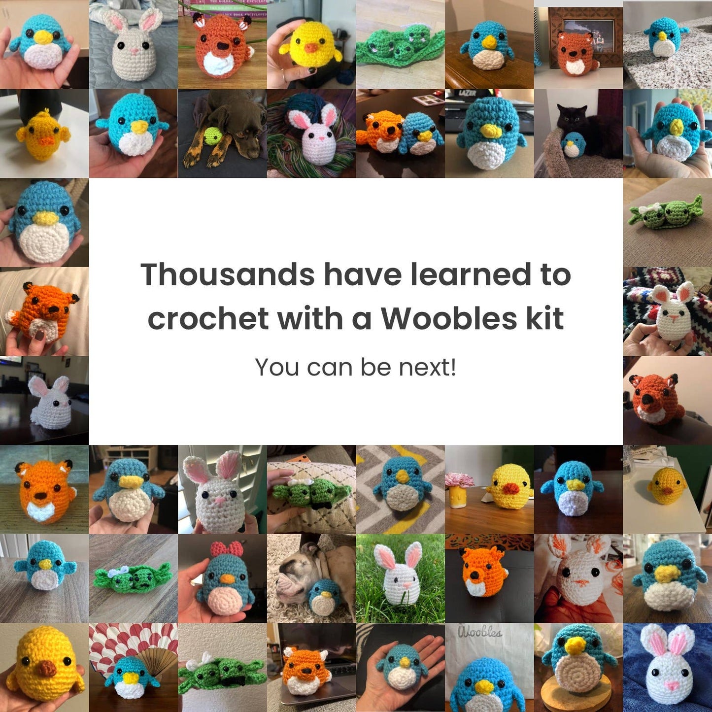 Felix the Fox Beginner Crochet Kit- The Woobles