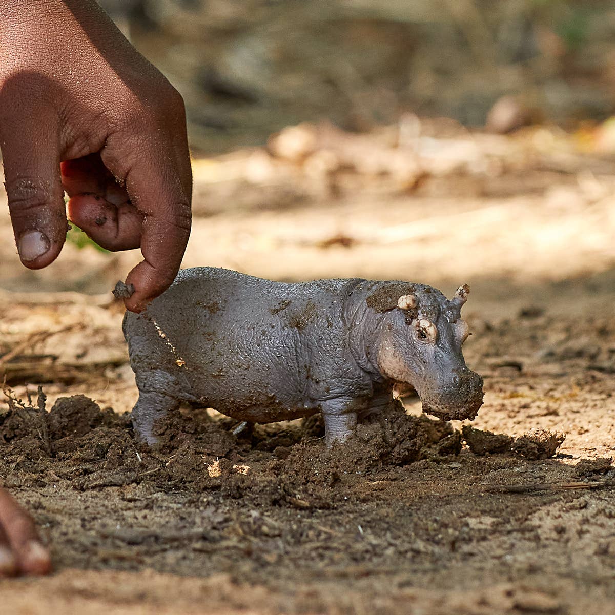 Hippopotamus Safari Animal Toy