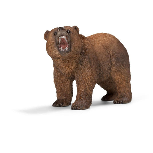 Grizzly Bear Forest Animal