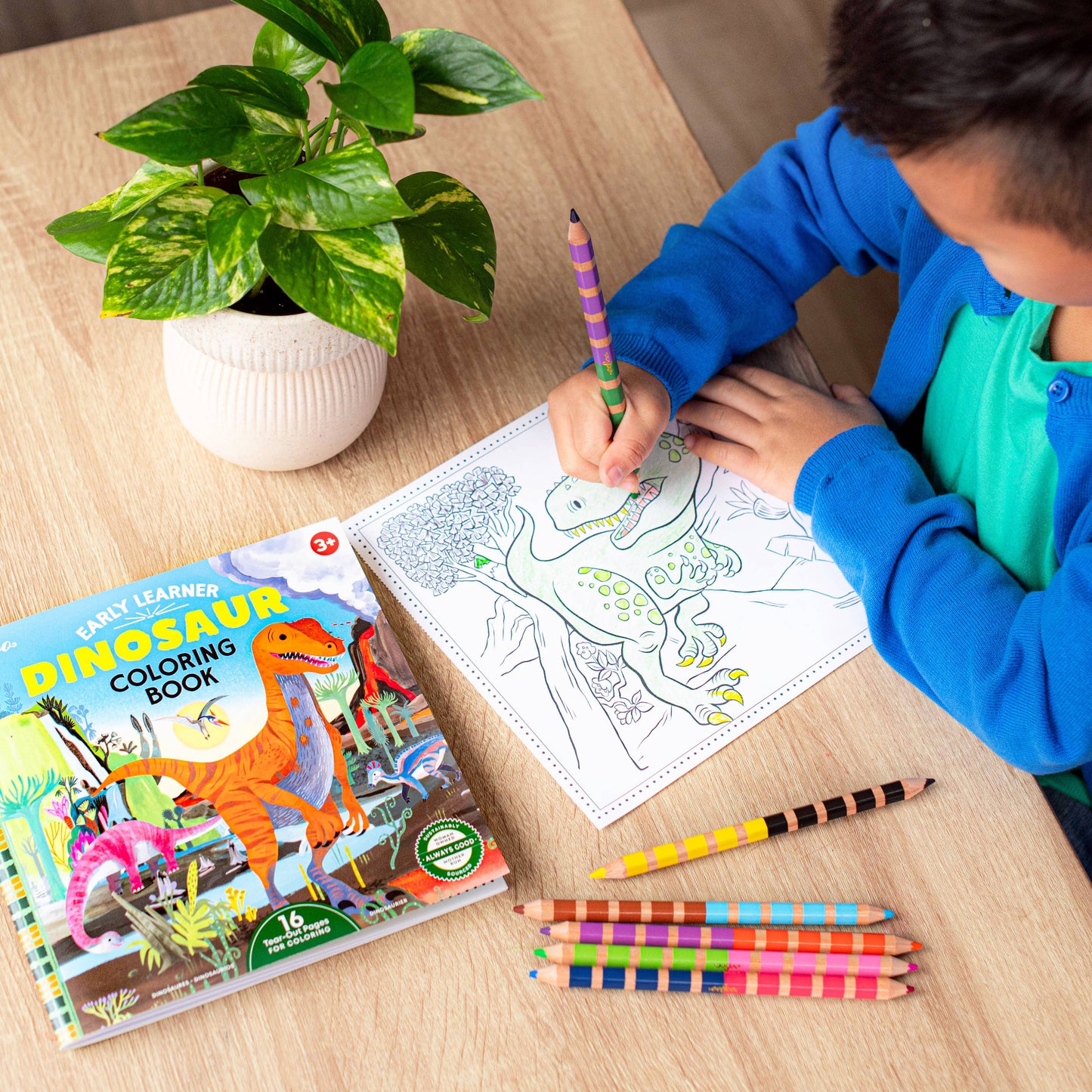 Dinosaur Square Coloring Book