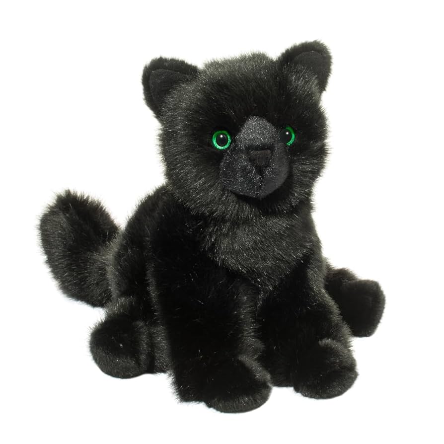 Salem Black Cat