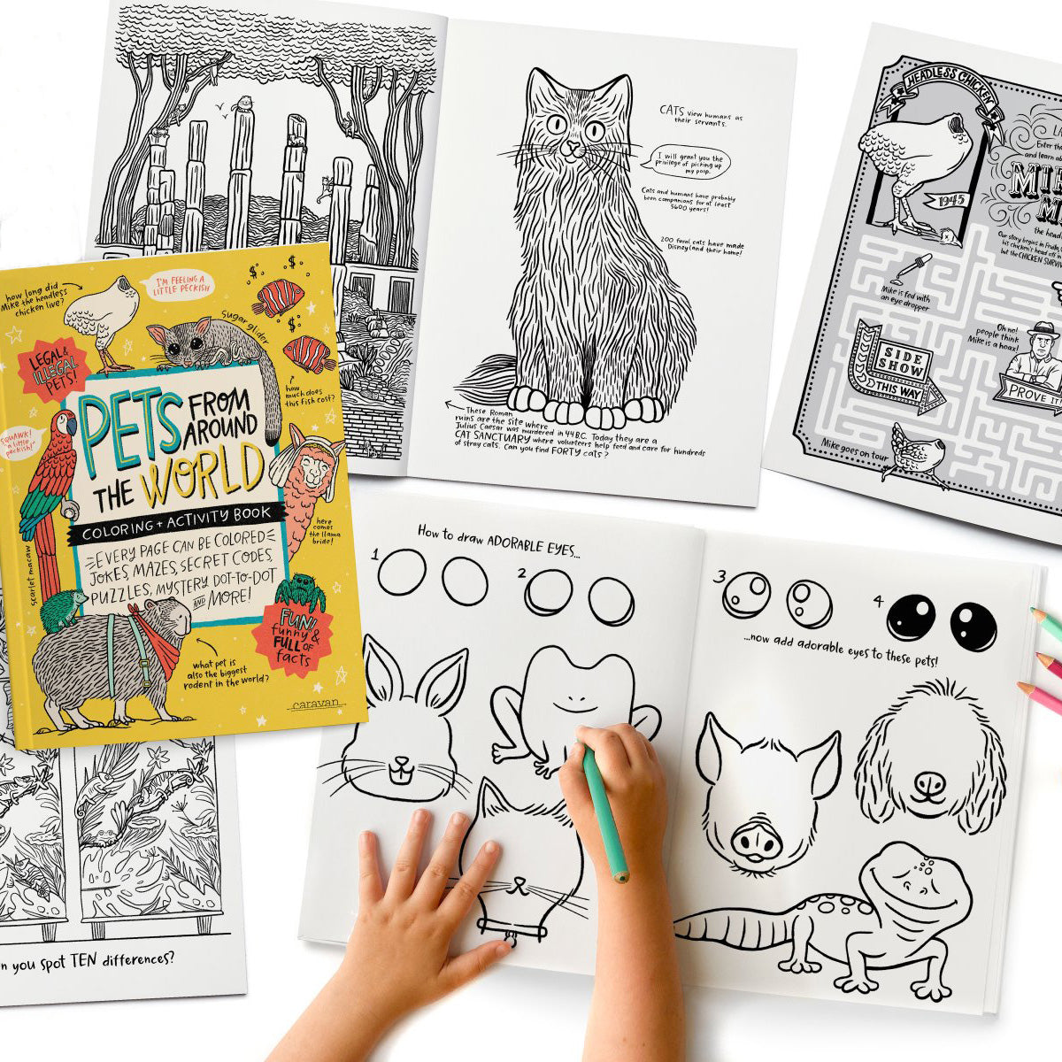 Pets Coloring + Activity Book