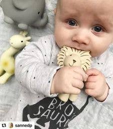 Lion Natural Organic Rubber Rattle, Teether & Bath Toy