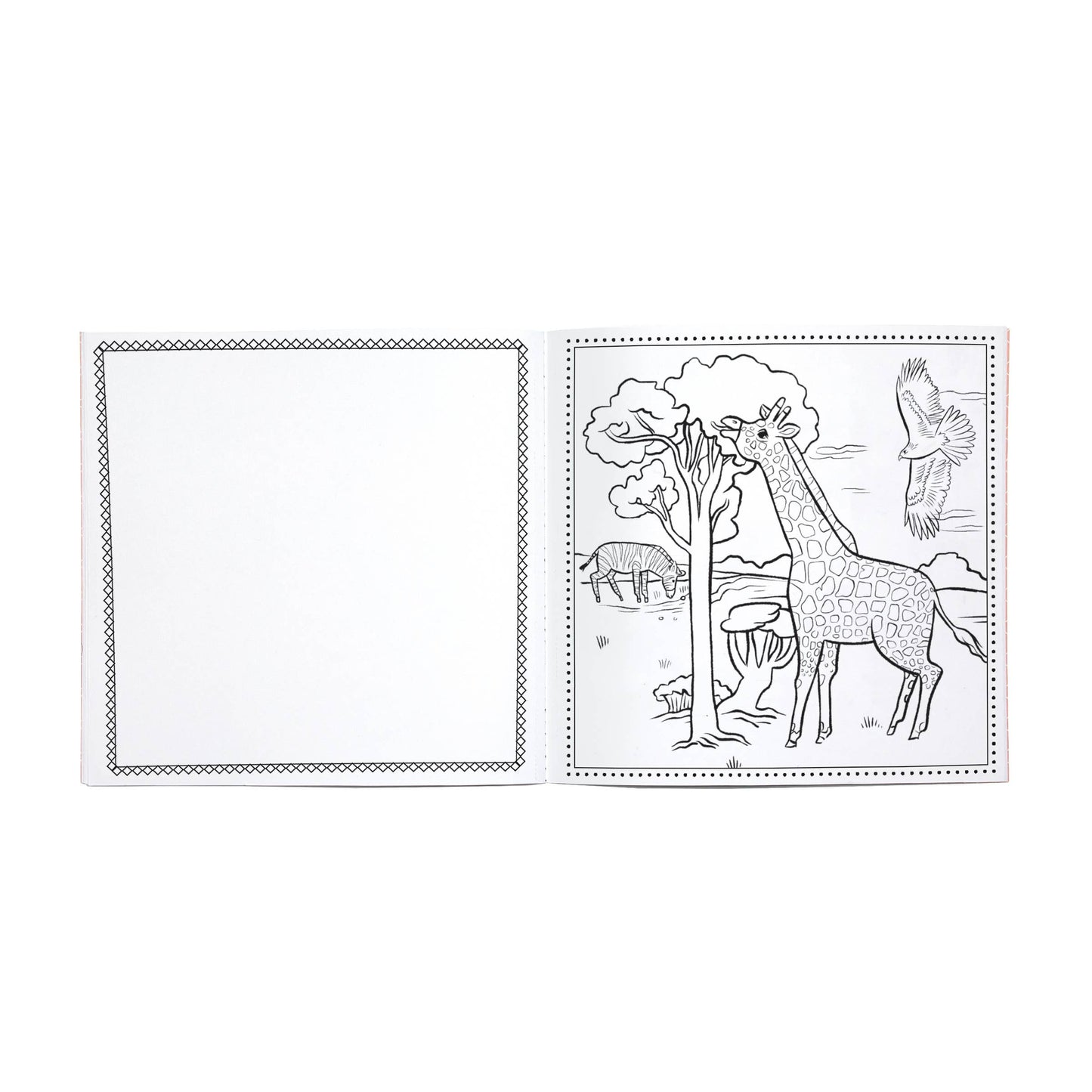 Wild Animals Square Coloring Book
