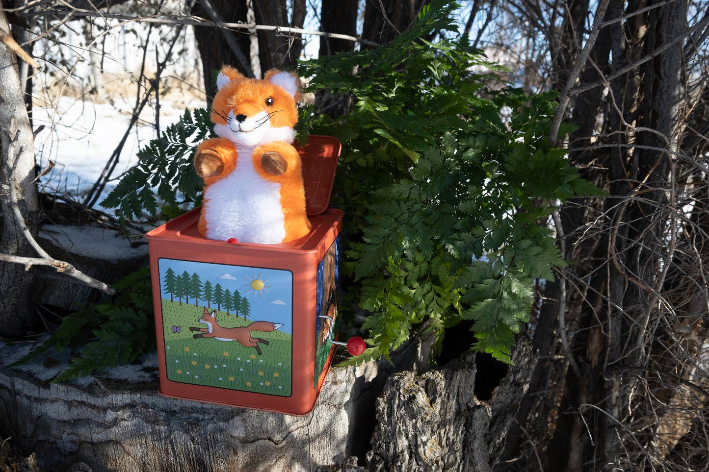 Fox Jack in the Box