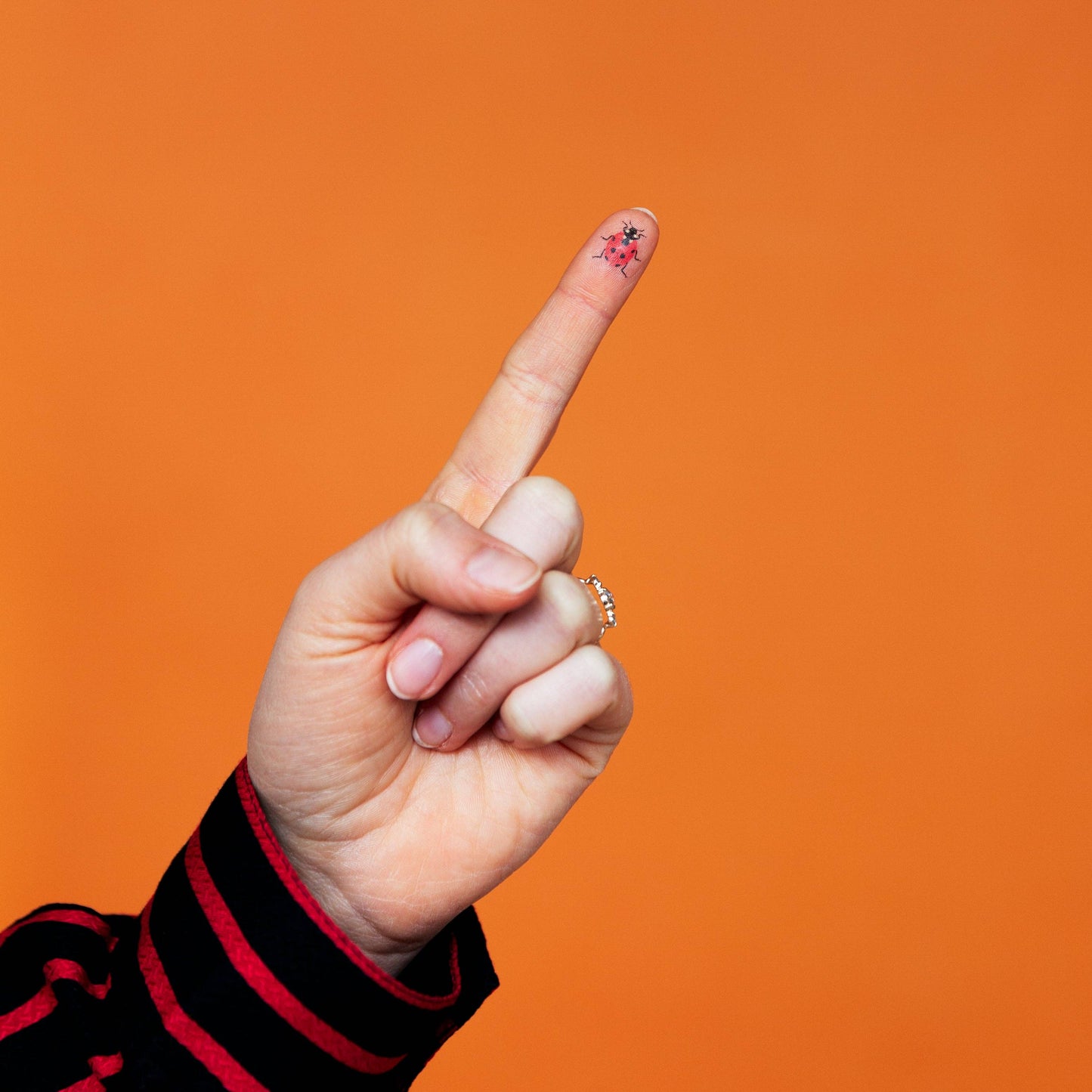 Ladybugs Temporary Tattoo Pair