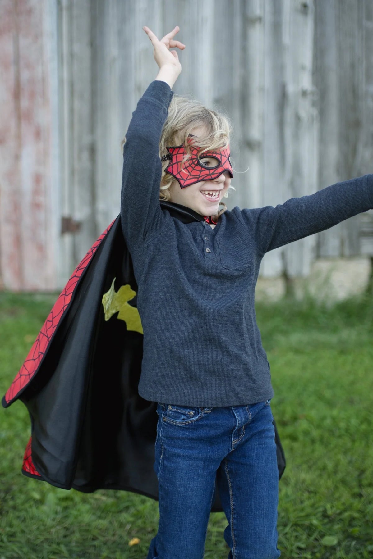 Reversible Spider/Bat Cape & Mask