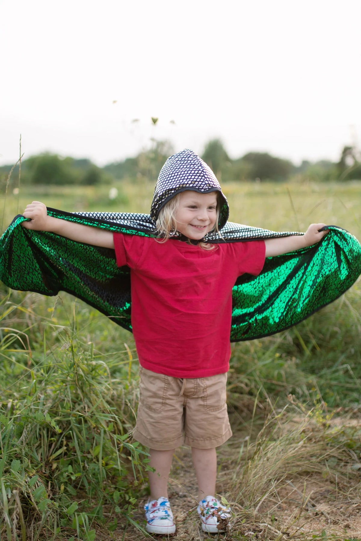 Reversible Dragon/Knight Cape, Green/Silver