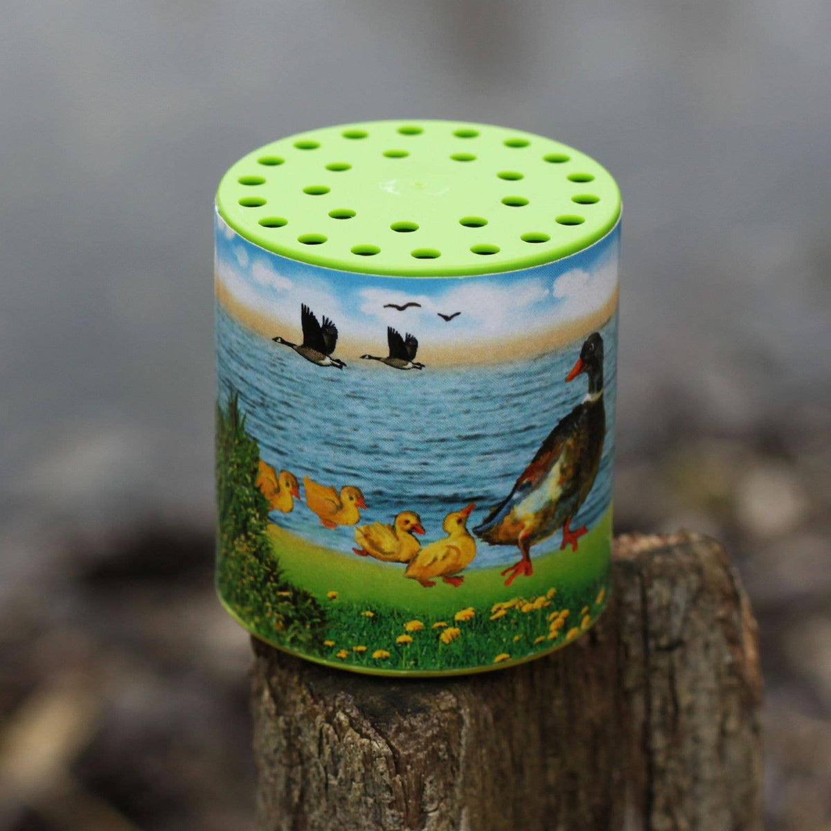 Duck Animal Sound Box