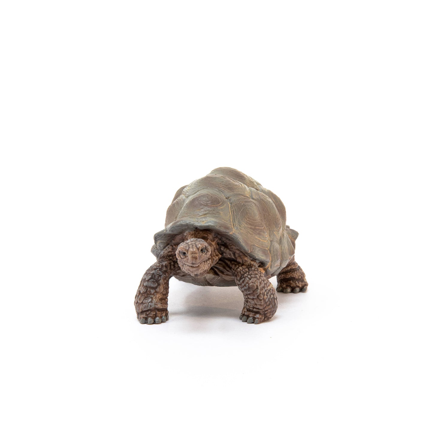 Schleich Giant Tortoise