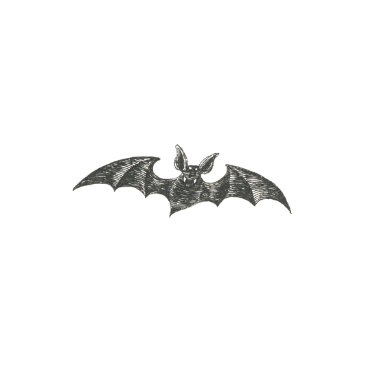 Vampire Bat Temporary Tattoo Pair EG