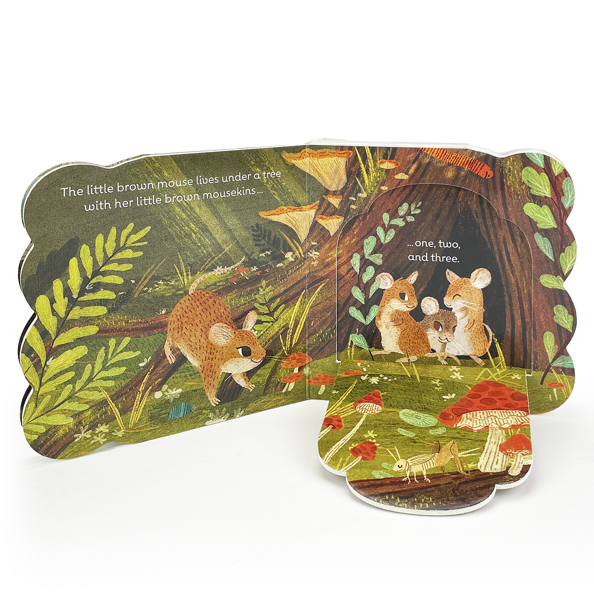 Little Brown Mouse Lift-the-Flap Board Book
