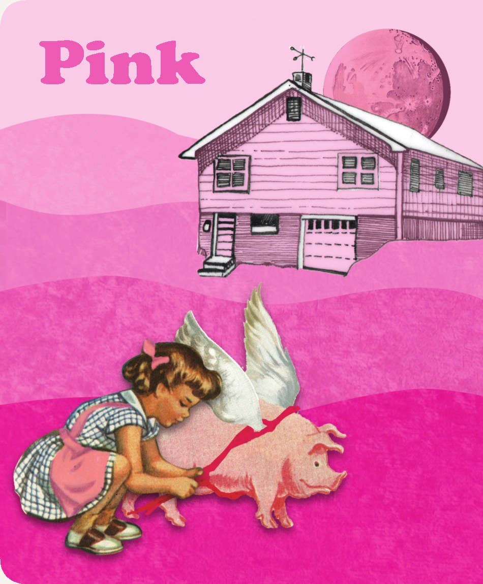 Any Color You Like: Intro. To Colors-Children's Board Book