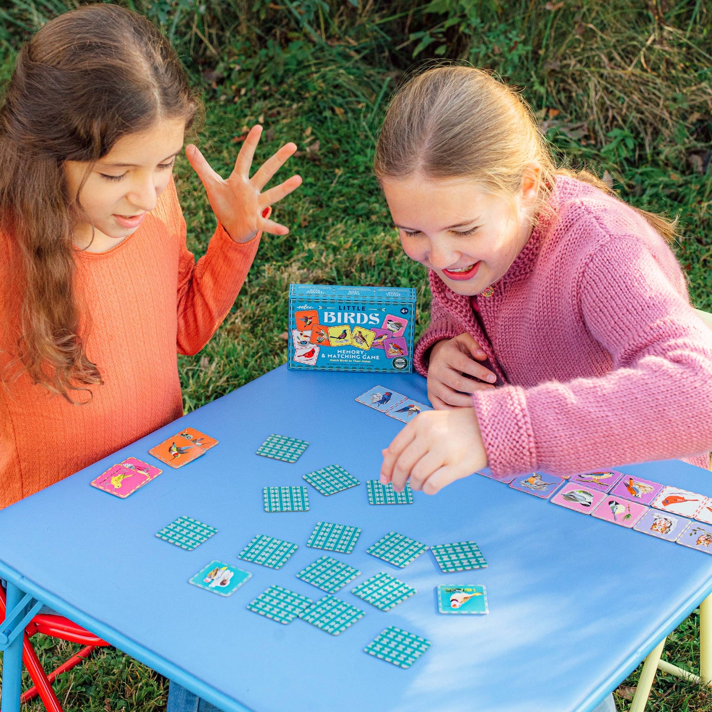 Birds Little Memory & Matching Game by Eeboo