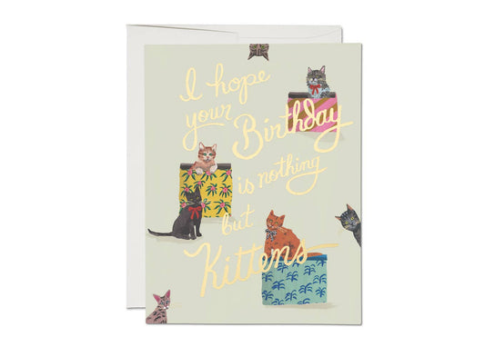 Nothing But Kittens Greeting Card