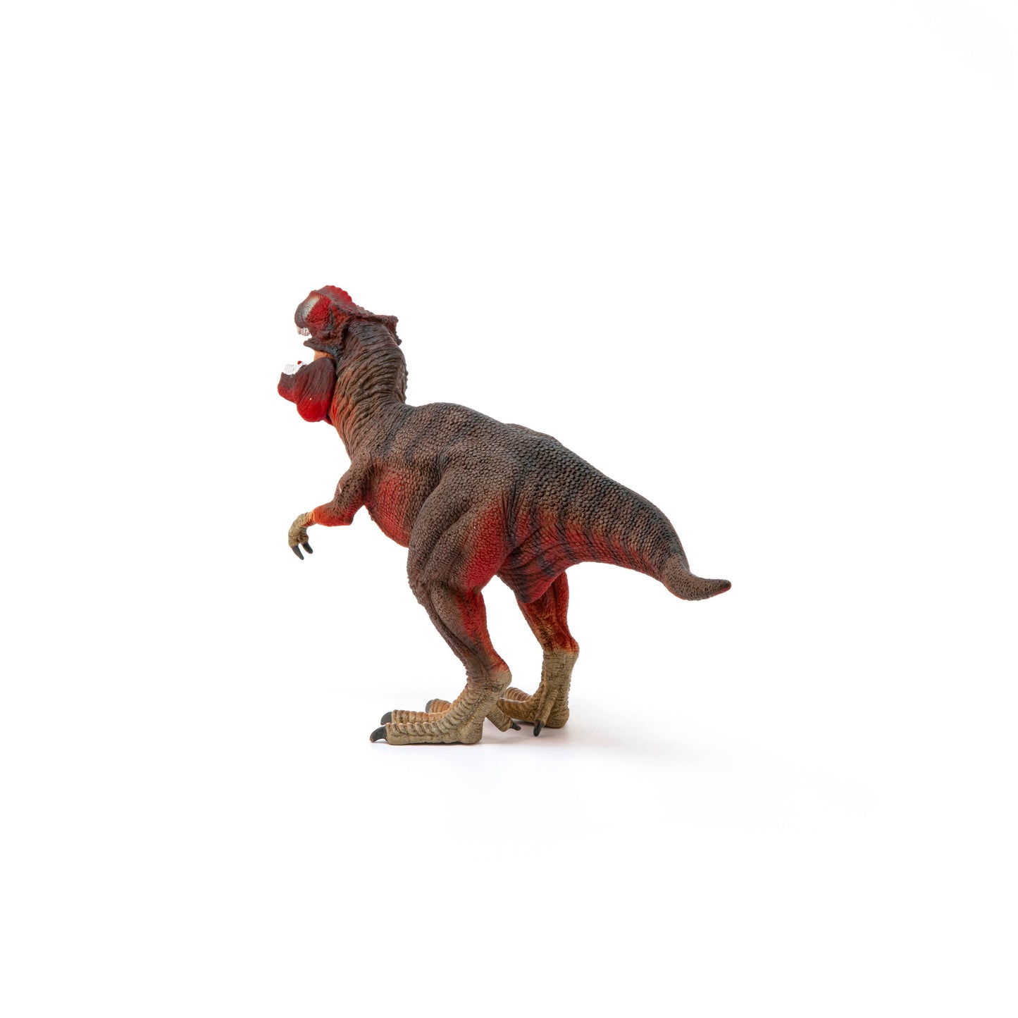 Red Tyrannosaurus Rex Dinosaur