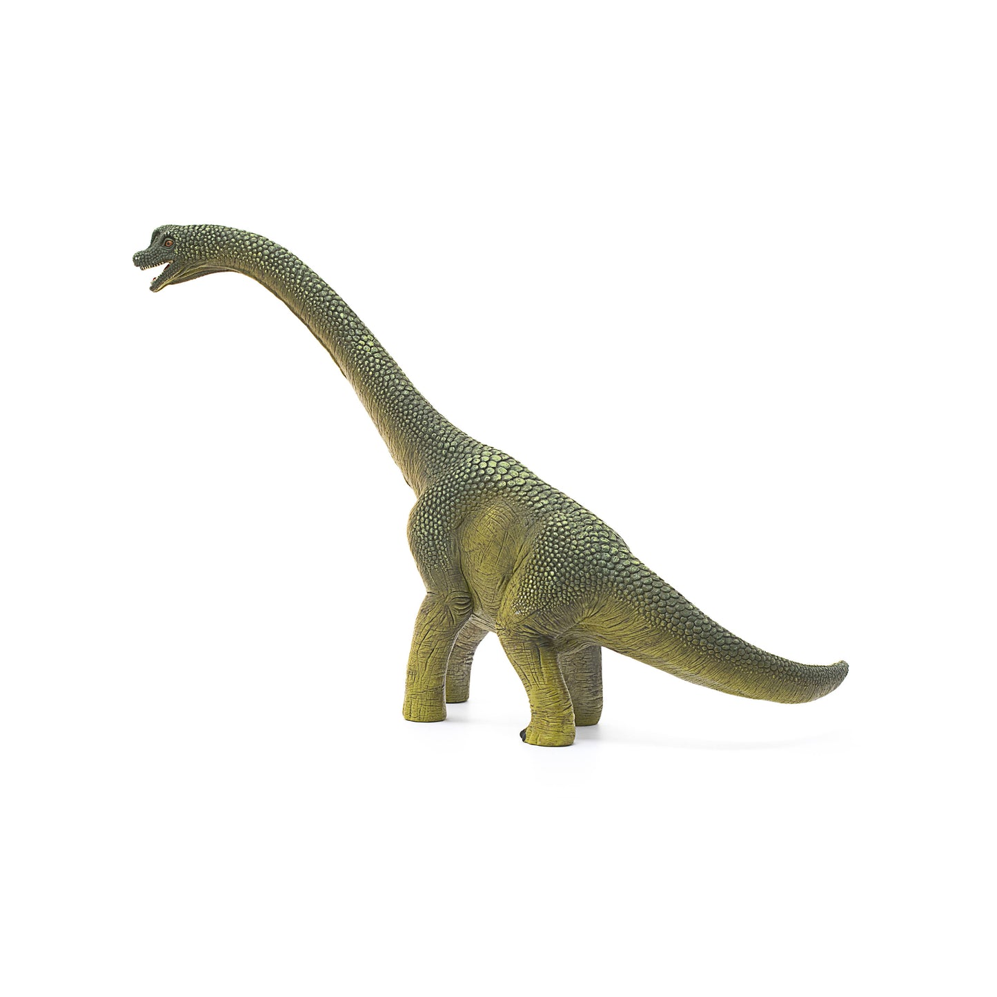 Brachiosaurus Realistic Dinosaur Toy