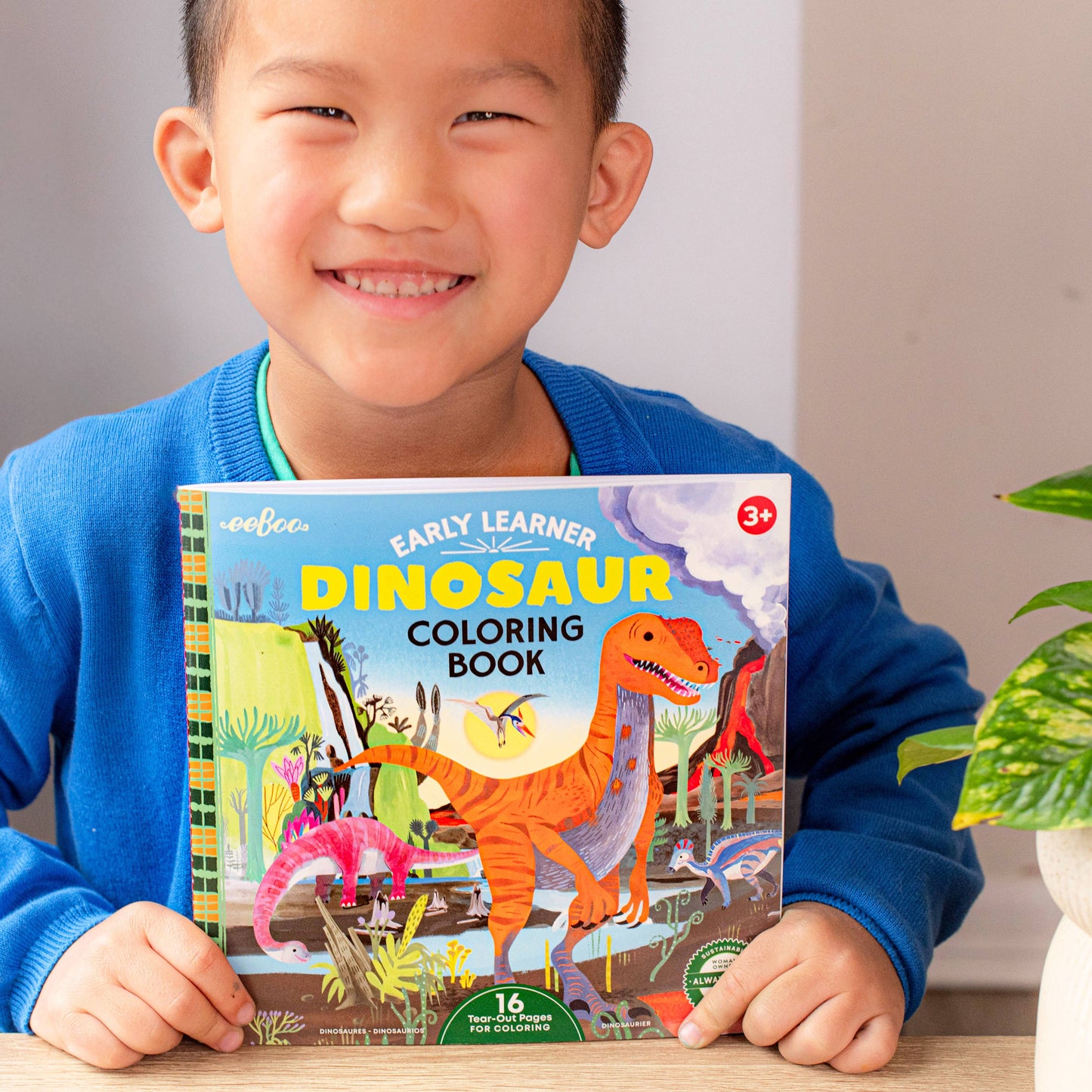 Dinosaur Square Coloring Book