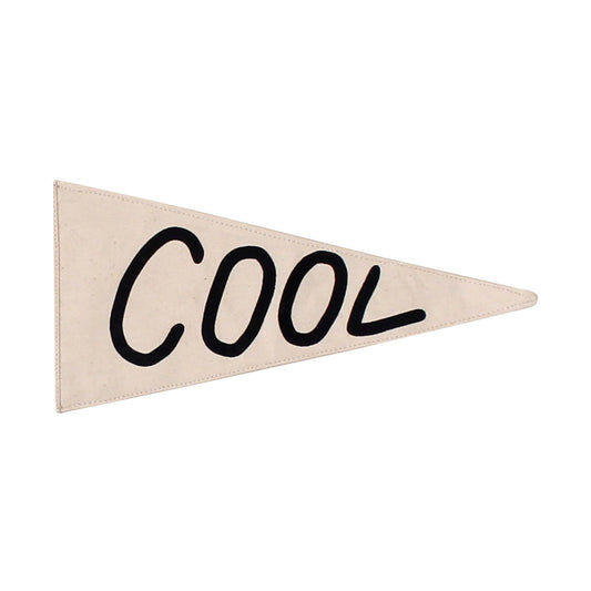 Cool Canvas Pennant