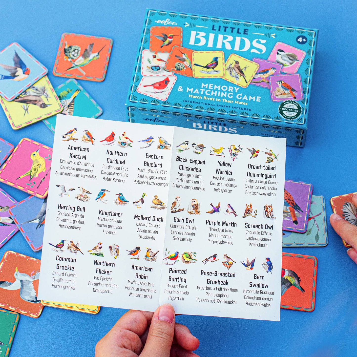 Birds Little Memory & Matching Game by Eeboo