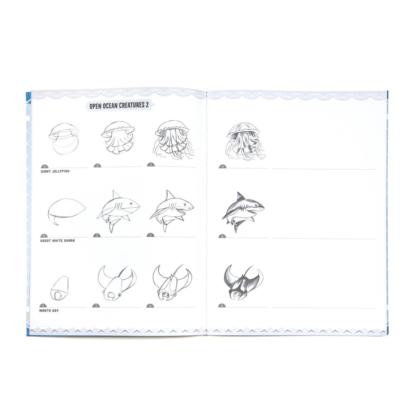 Learn to Draw Under the Sea with Stickers