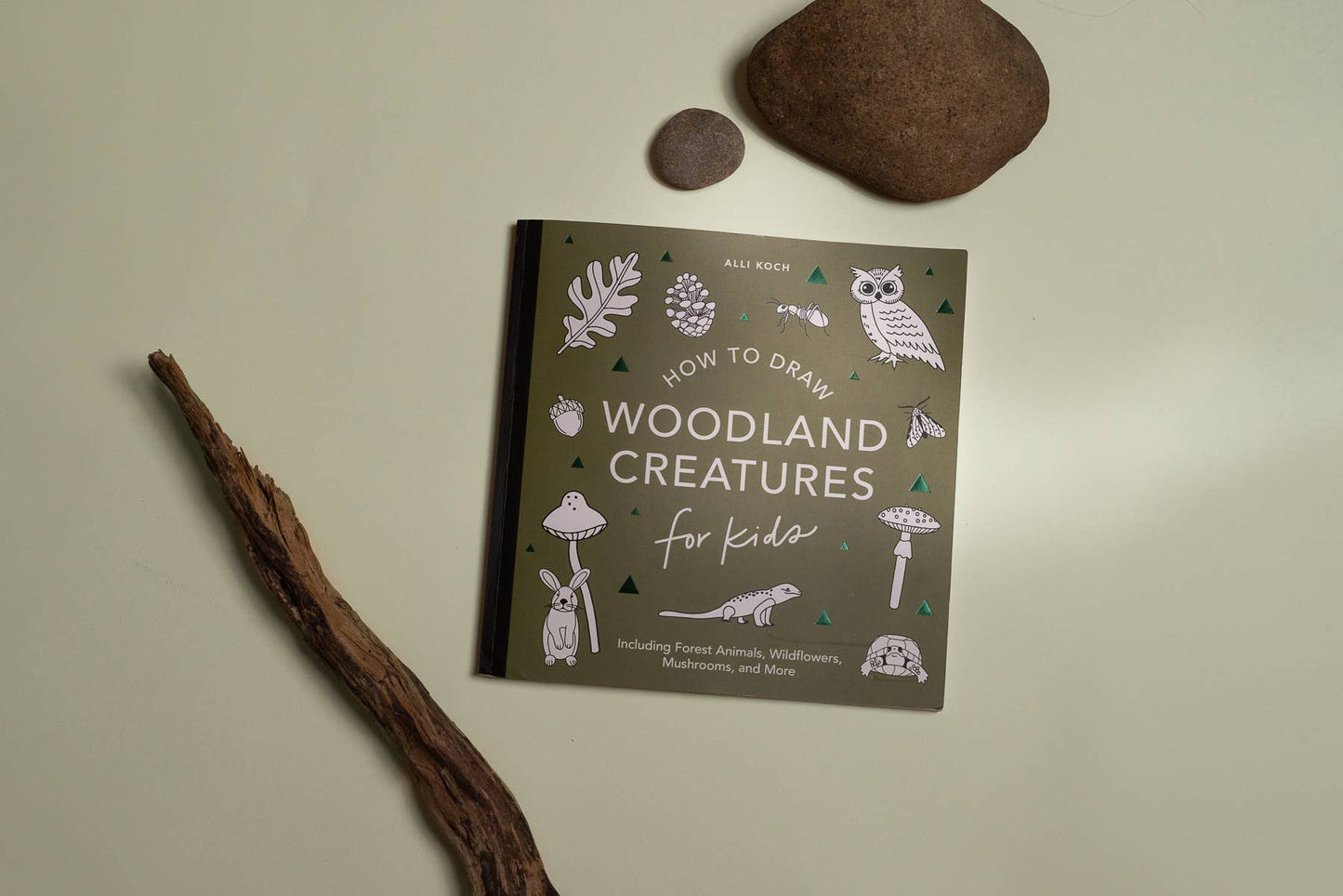 Mushrooms & Woodland Creatures: How to Draw Book For Kids