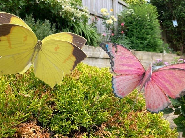 Paper Butterfly Bunting Decoration