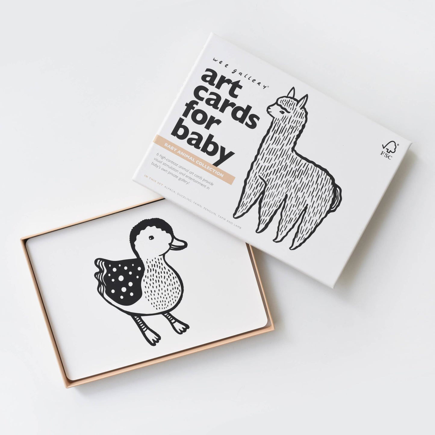 Art Cards for Baby, Baby Animals