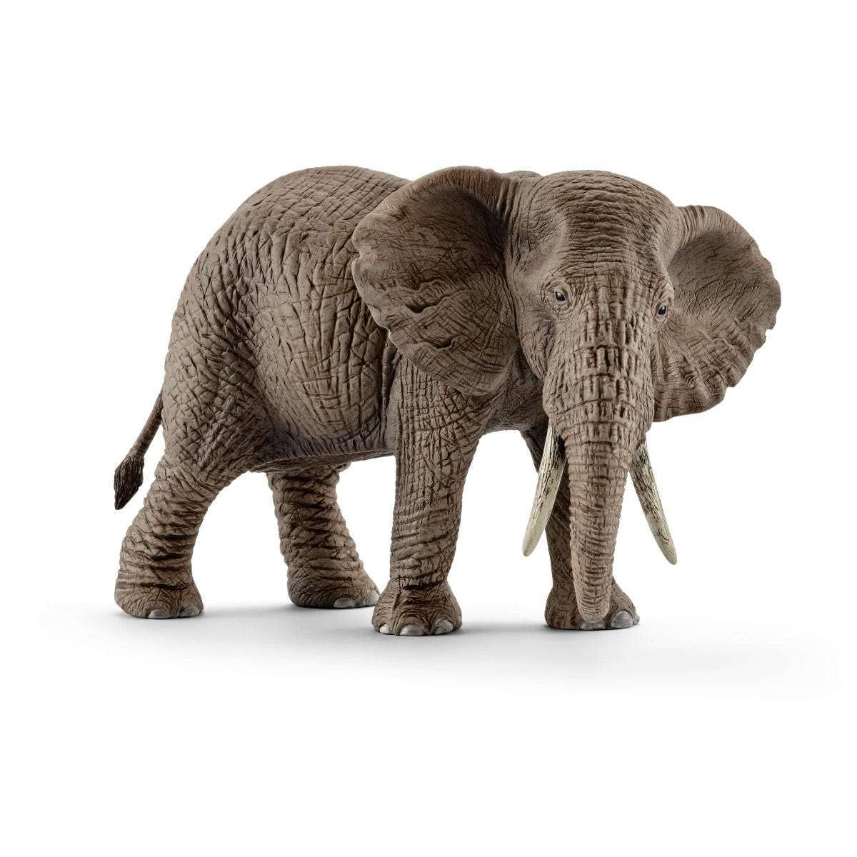 African Elephant, Female Safari Animal Toy - Schleich