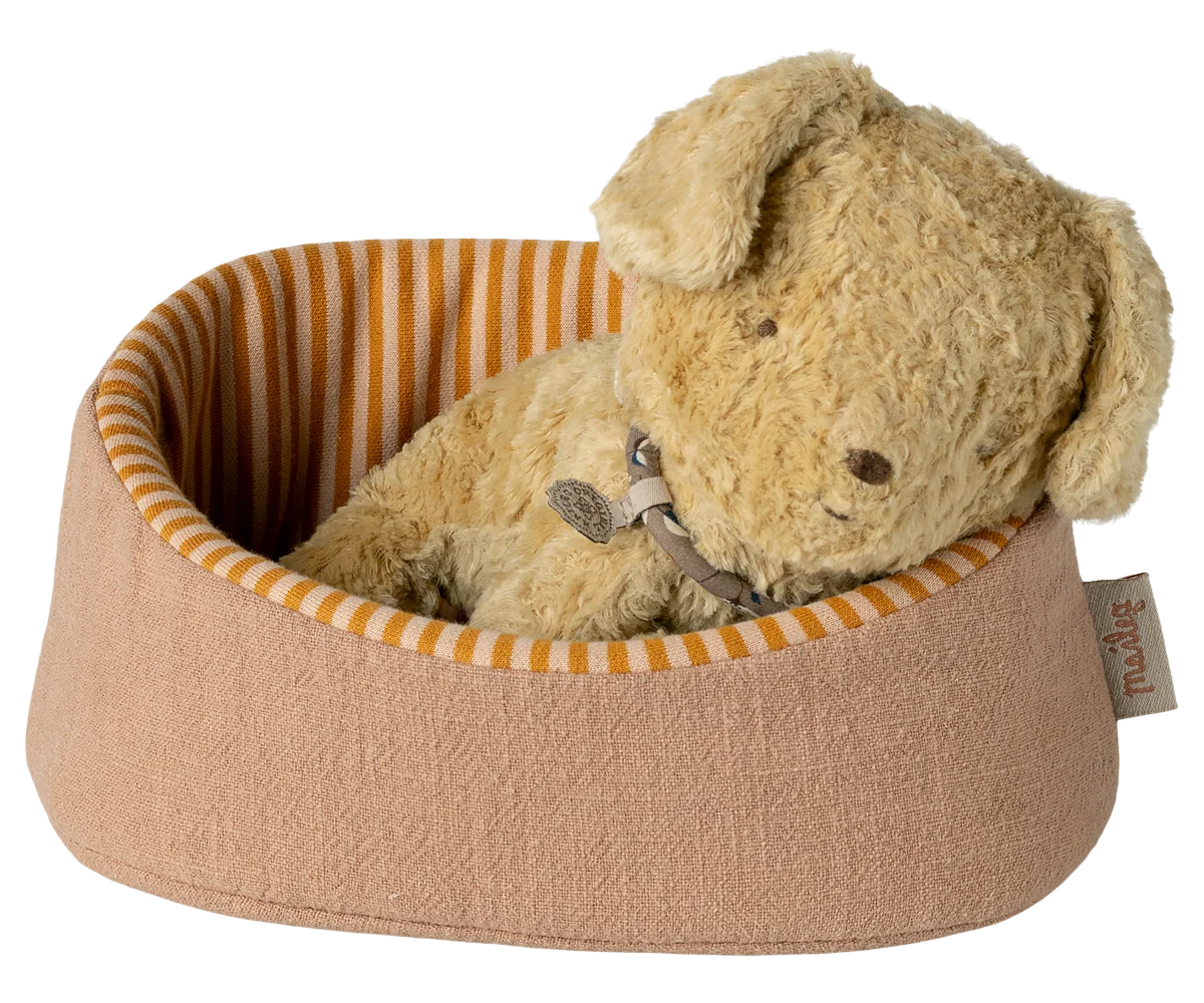 Pet Basket, Powder