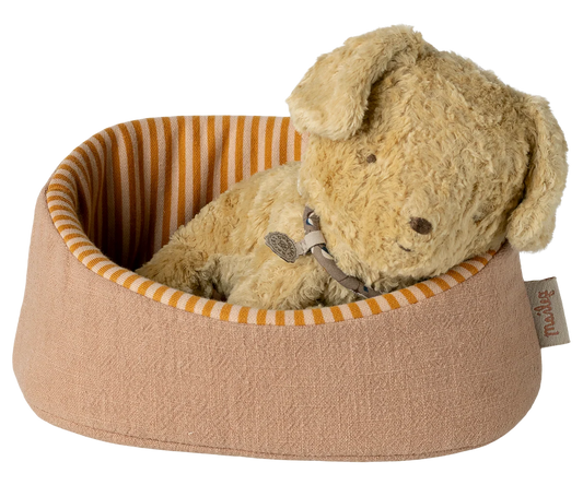 Pet Basket, Powder