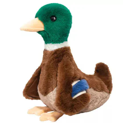 Desie Mallard Duck