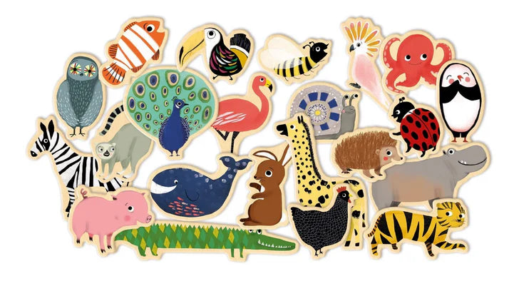 Magnetic Animals Set