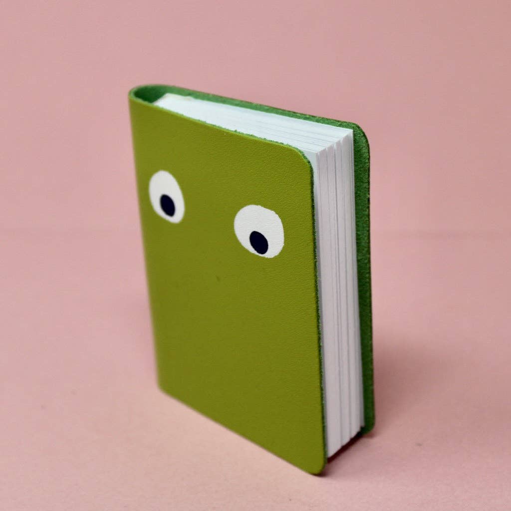 Googly Eye Mini Journal (Asstd.)