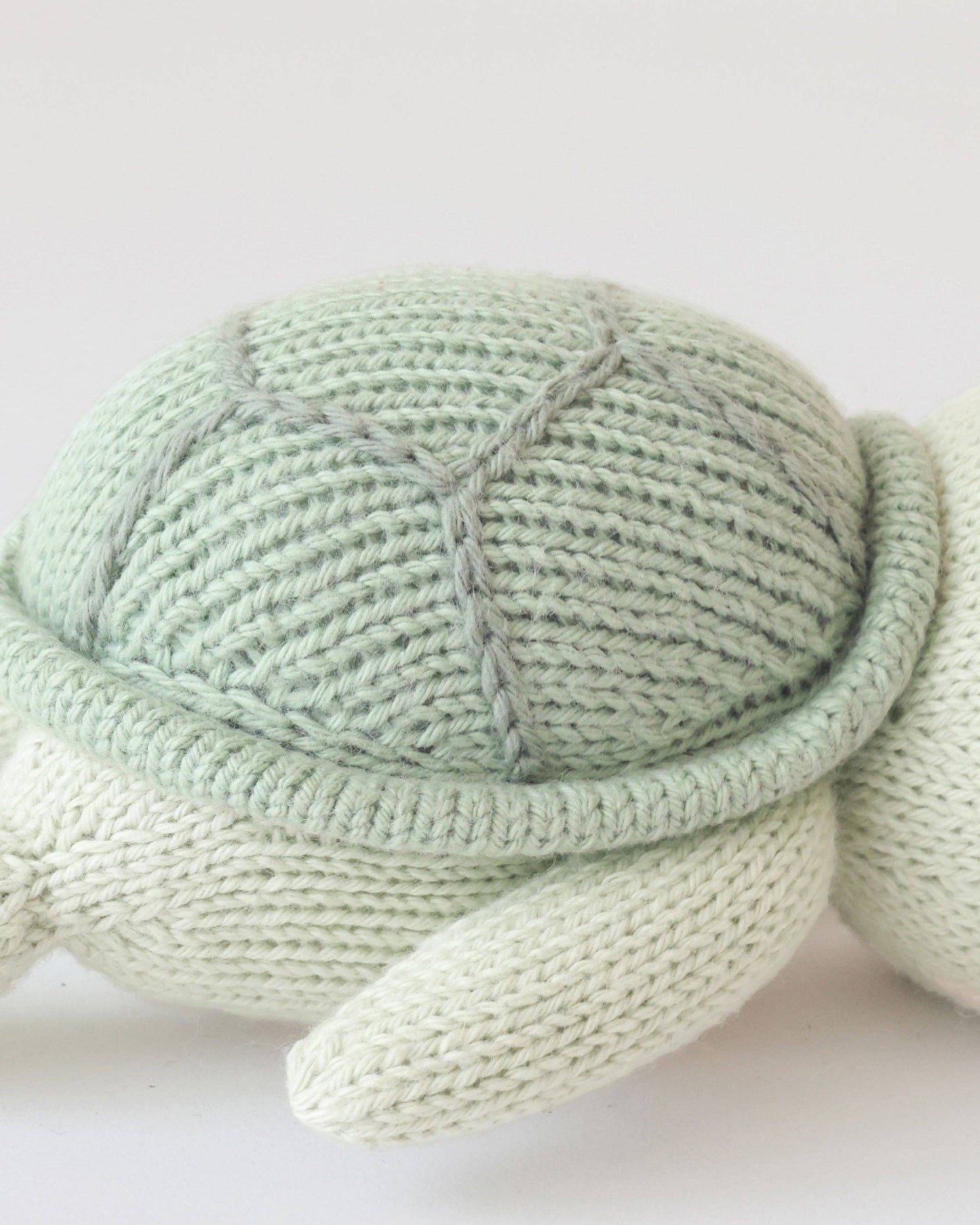 Baby Sea Turtle
