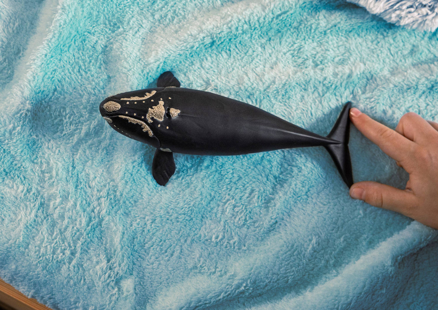 Schleich North Atlantic Right Whale
