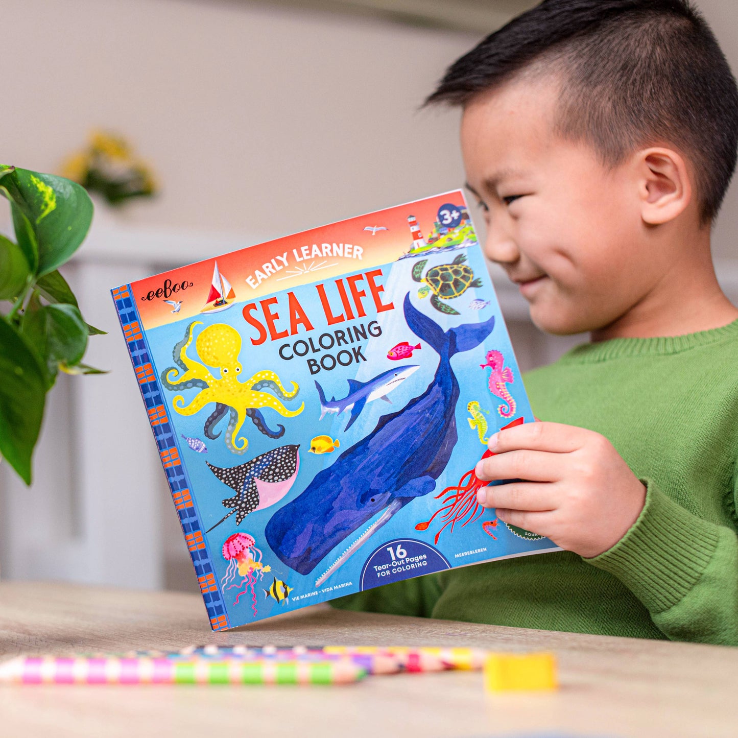 Sea Life Square Coloring Book