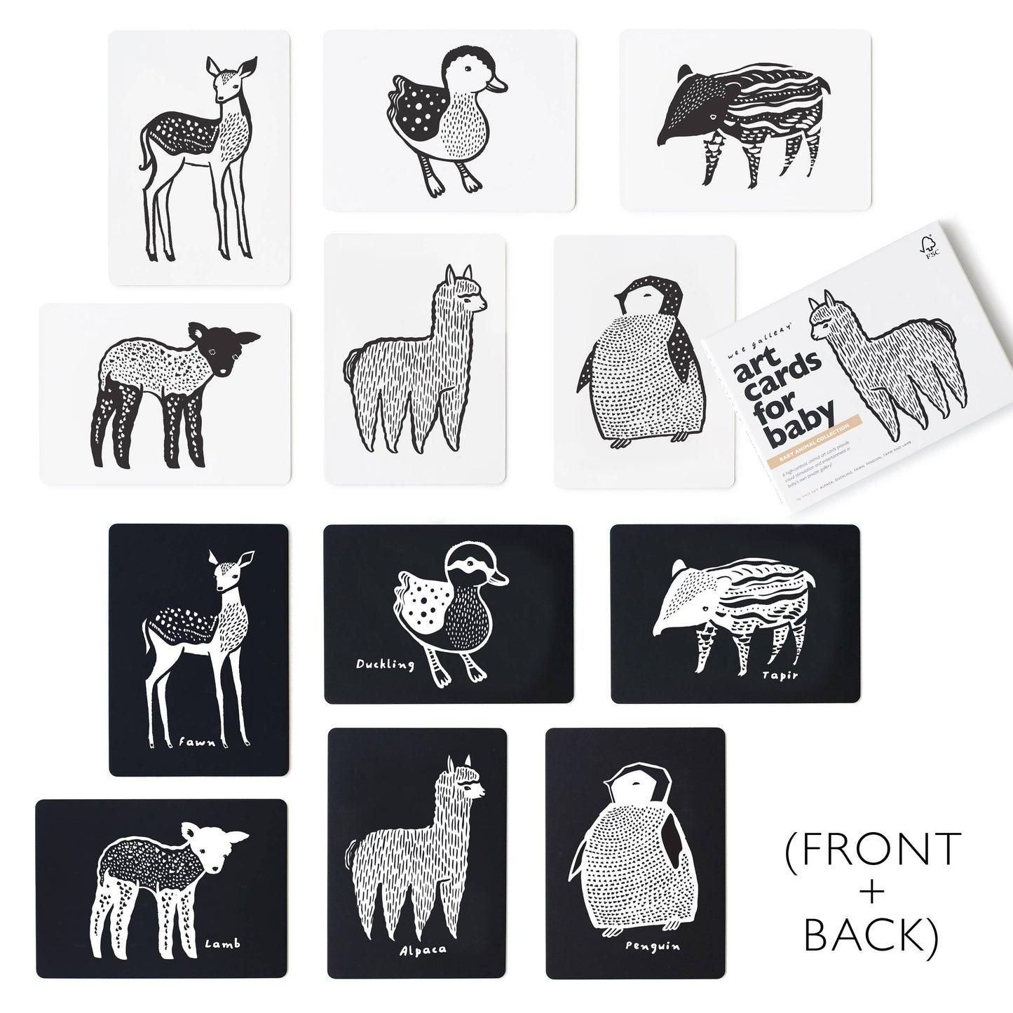 Art Cards for Baby, Baby Animals